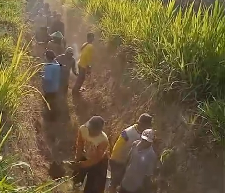 Desa Sanen Rejo Gelar Kegiatan Jumsih, Tiga RT Turun Bersihkan Saluran Air