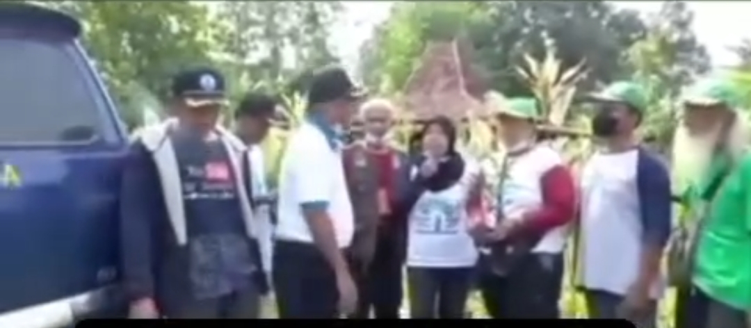 Sinergi Selamatkan Sumber Kehidupan: Forum Pelanggan Air Minum Nasional Tanam 700 Bibit Pohon di Bantaran Sungai
