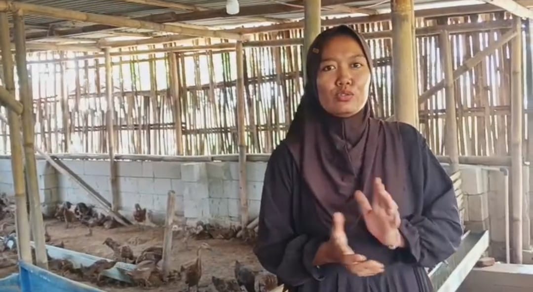 USAHA TERNAK BEBEK BANYAK HASILKAN CUAN, INI TRIKNYA